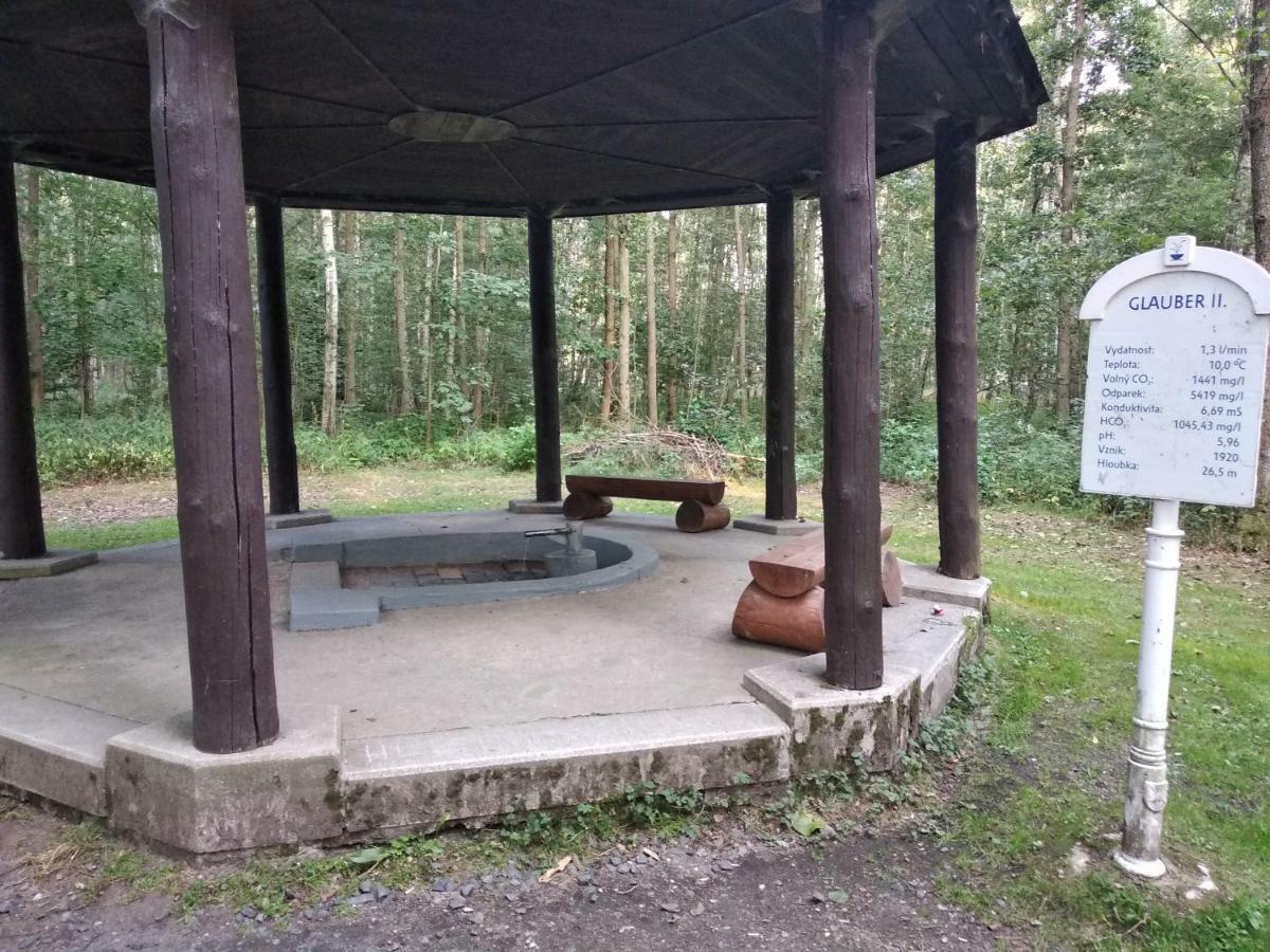 Apartments Ceska Františkovy Lázně Kültér fotó
