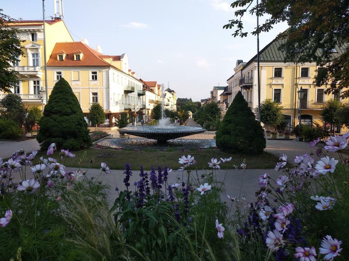 Apartments Ceska Františkovy Lázně Kültér fotó